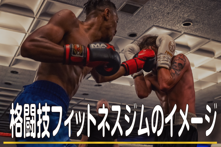 格闘技フィットネスジムのイメージ