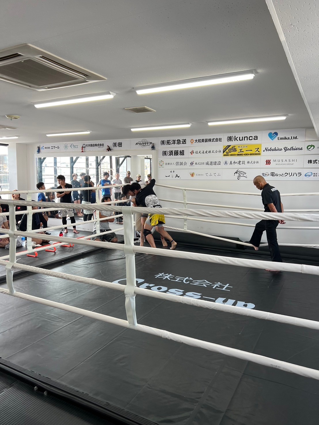 圧巻のキックボクシングと緻密なグラップリング