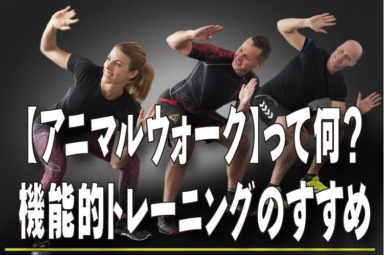 【アニマルウォーク】機能的トレーニングのすすめ